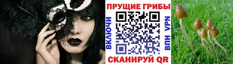 Купить закладки  Северобайкальск  Галлюциногенные грибы мицелий 