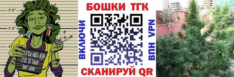 Купить закладки  Северобайкальск  Бошки марихуана план 
